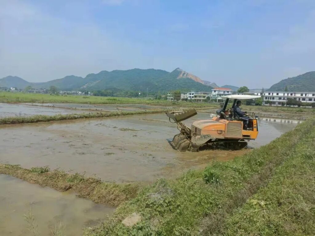 【春耕备耕】天气晴好，湖泽镇早稻生产加速推进