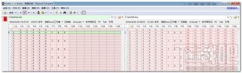 beyond compare可以对比excel吗