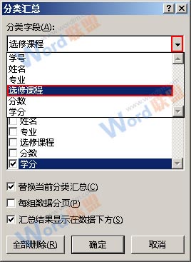 Excel 2010中进行分类汇总操作时可以设置