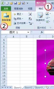 excel2007怎么去除图片背景(excel图片怎么删除背景)