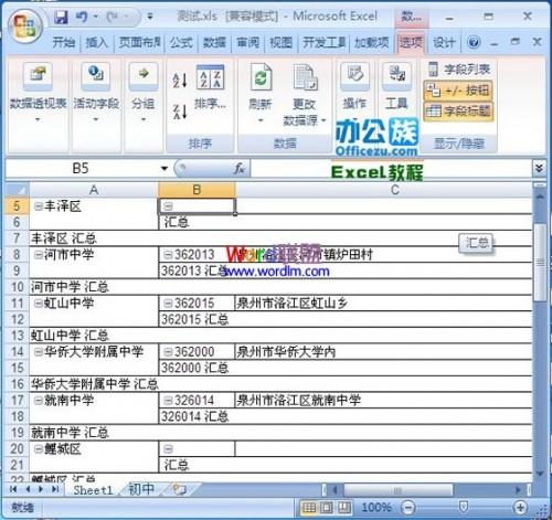 在excel2007中您向数据透视表添加了