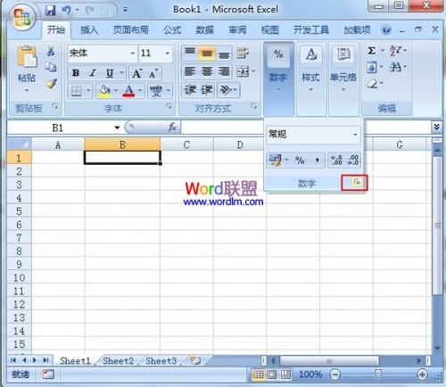 在excel2007中,单元格内输入身份证号应如何输入