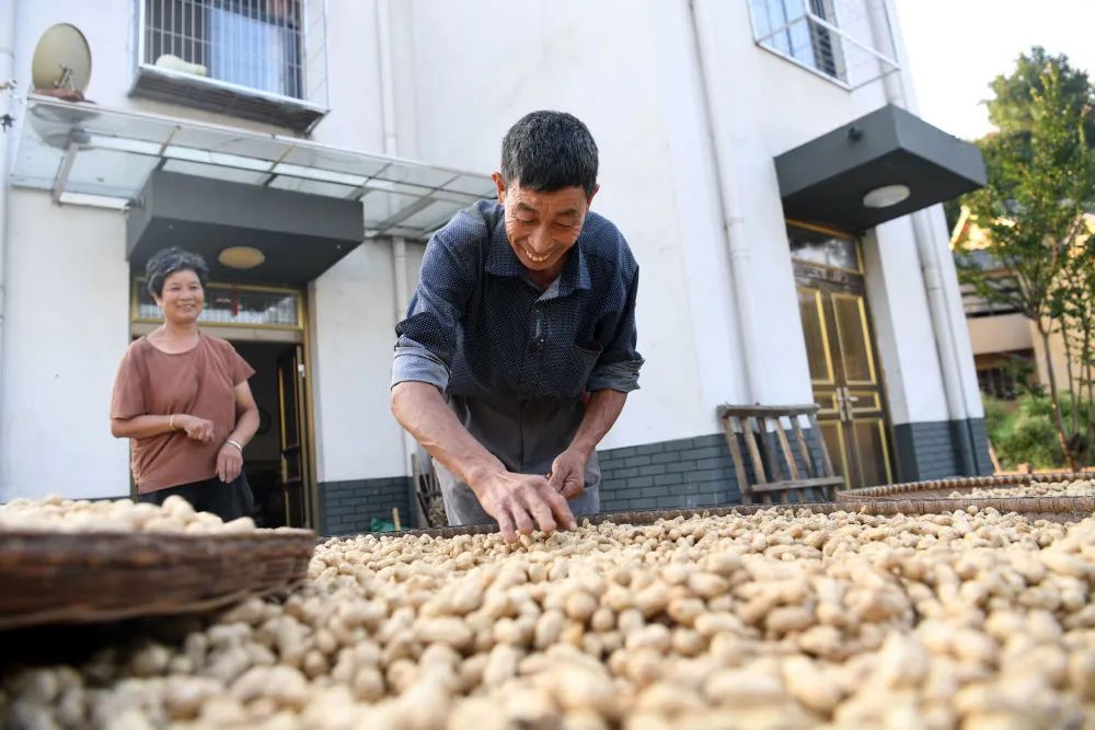 习近平的人民情怀