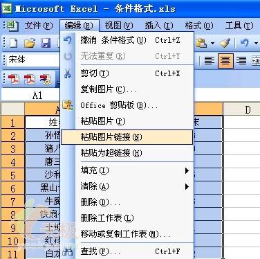 Excel  :为数据区创建动态快照