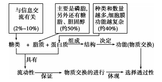 细胞核结构图_细胞核的功能