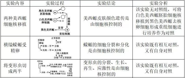 细胞核结构图_细胞核的功能