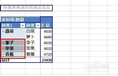 excel2016透视表分组(excel透视表如何分组)