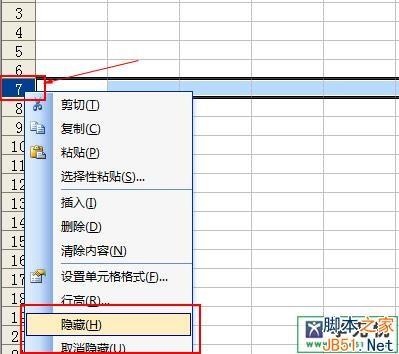 在excel2010中行和列可以隐藏吗