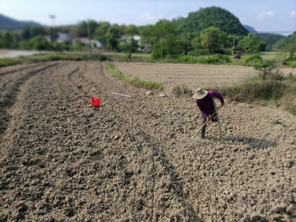 拄着拐杖发展产业，脱贫户严细根的新期待