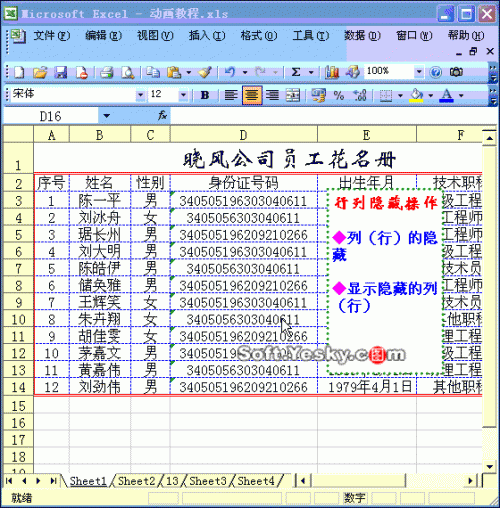 Excel隐藏行怎么显示(excel如何让隐藏的行列全部显示)