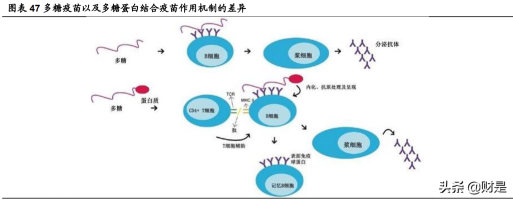 上海始发G10次列车一旅客阳性