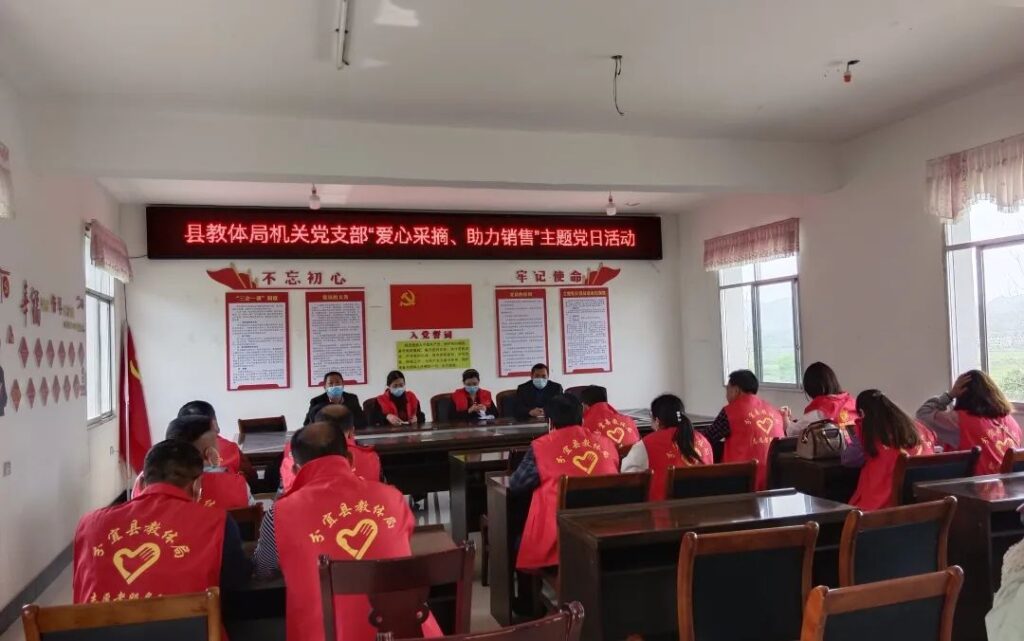 高岚乡环桥村：香菇滞销不用愁，多方合力“显身手”