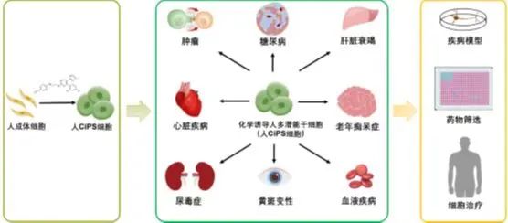 自主研发、国际首次！我科学家又有重要突破