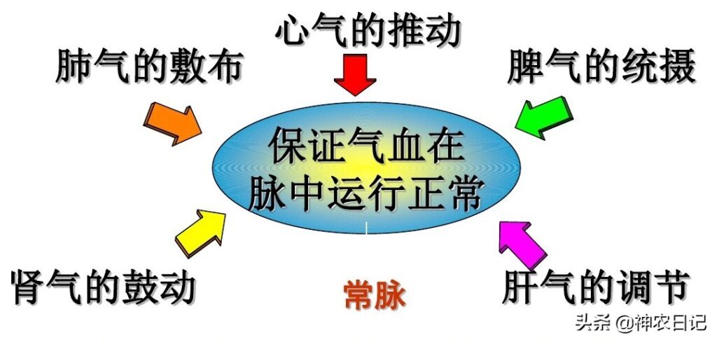 古代如何诊断喜脉_中医如何把脉的