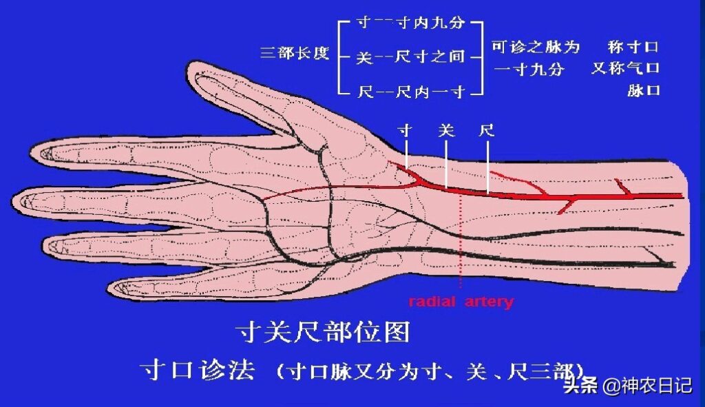 古代如何诊断喜脉_中医如何把脉的