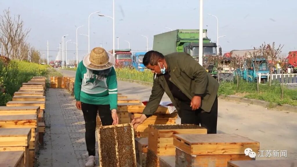 有电了！夫妻俩滞留江苏，当地为他们单独拉了一根电线