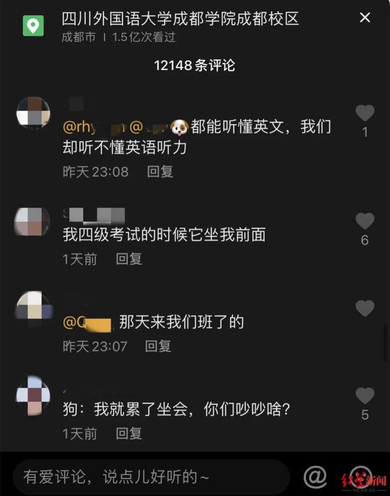 2岁半萌娃蹭姐姐网课学英语