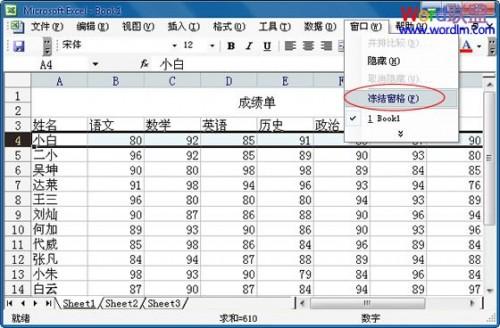 每张表头固定在excel中如何设置(excel表格里怎么固定表头)