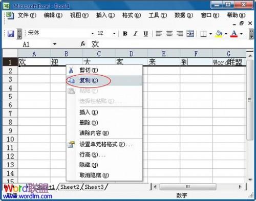 Excel2003中复制和移动单元格中数据的方法有哪些?