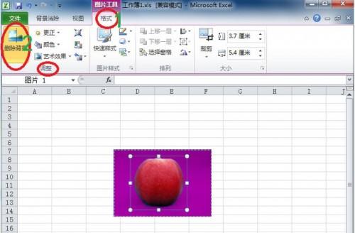 Excel2010图片(2010excel 图片保存不了)