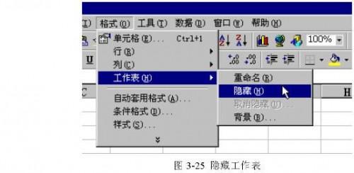 Excel中的工作簿( )(Excel工作表和工作簿)