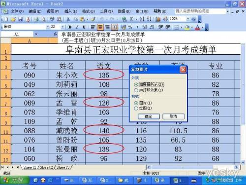 用有效性圈出Excel表格中的指定数据(excel中怎么圈定数据)