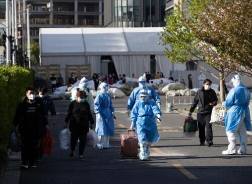 海外祝福视频火爆上海市民朋友圈