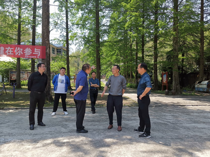 张小兵到环钤阳湖带、大岗山片区林场调研全域旅游