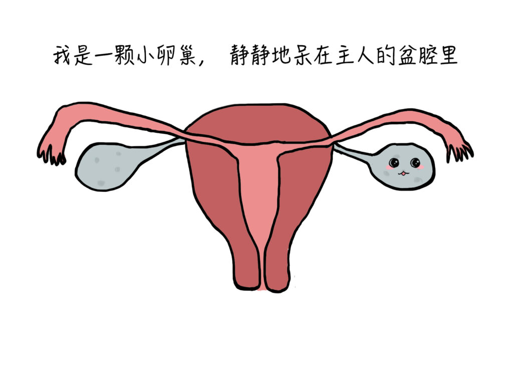 什么是卵巢肿瘤扭转_卵巢肿瘤扭转严重吗