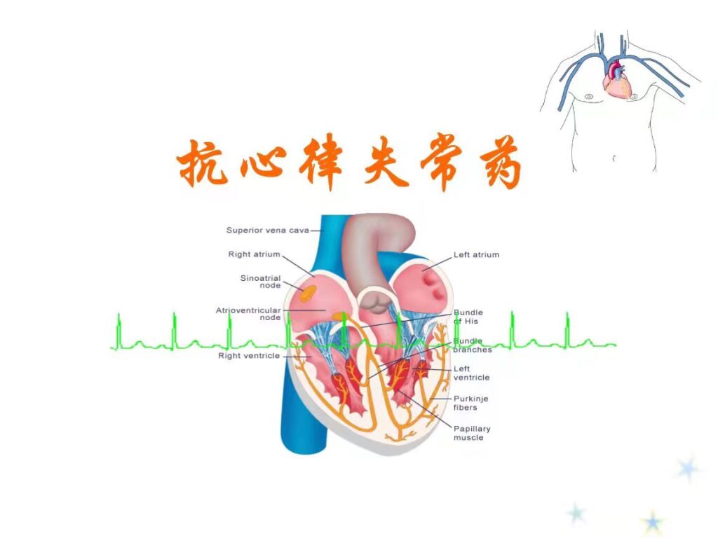 心律失常是什么原因引起的_心律失常怎么调理