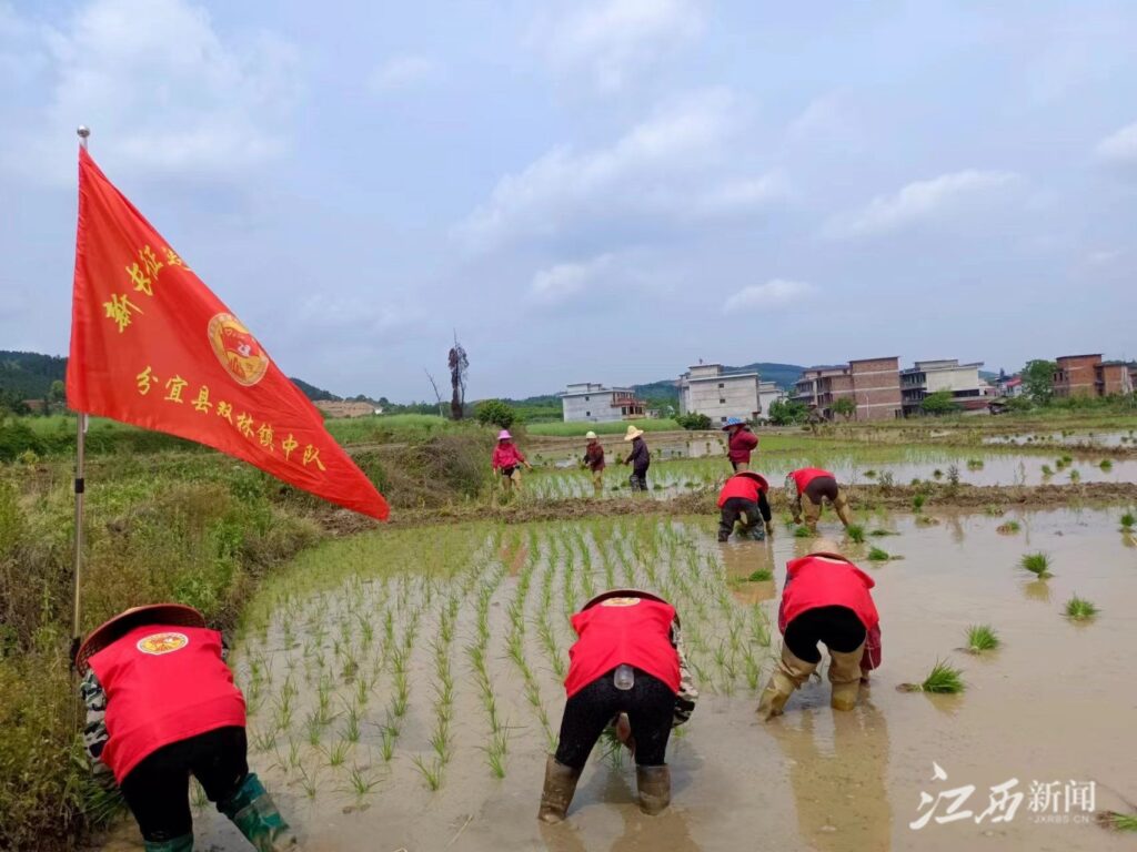 春耕图里，老兵绘新彩