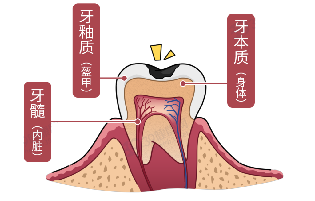 护理牙齿的方法有哪些_日常护理牙齿的三个方法