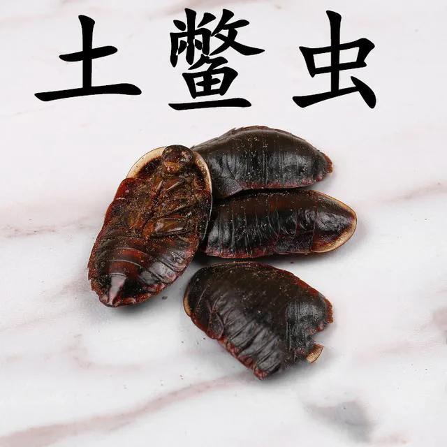 土鳖虫的用途是什么(土鳖虫有什么用途)