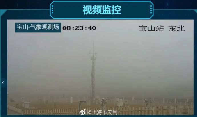 市民实拍上海暴雨：白昼如黑夜