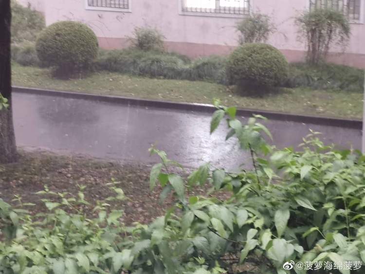 实拍上海暴雨：黑夜中巨大闪电击地