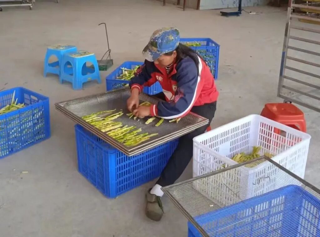 操场乡：“小山笋”念活乡村振兴致富经