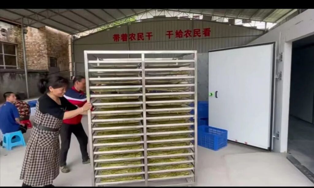 操场乡：“小山笋”念活乡村振兴致富经