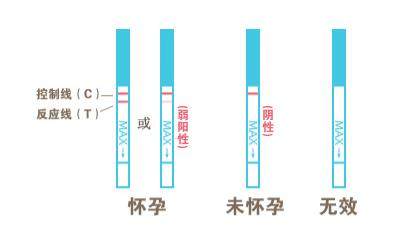 怎么用验孕纸最准确_早孕试纸该如何看