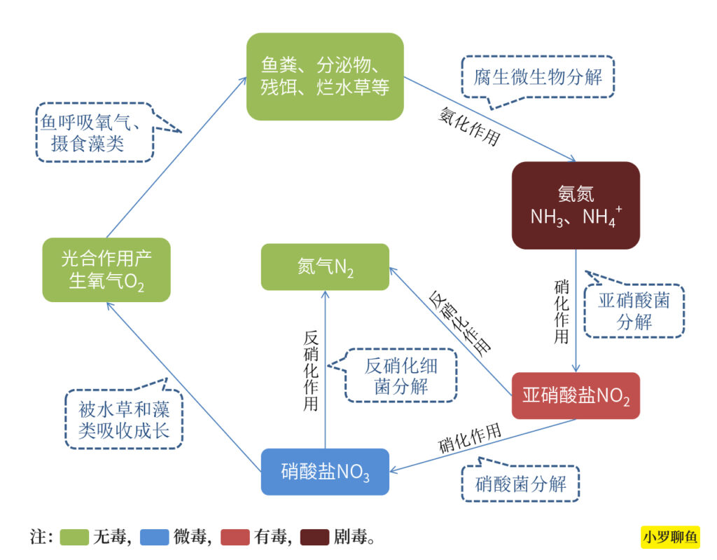 鱼缸内如何去除亚硝酸盐_亚硝酸盐增多的原因