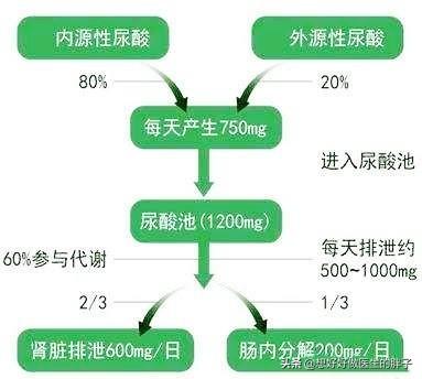 高尿酸可以吃瓜子吗(尿酸高不能吃瓜子吗)