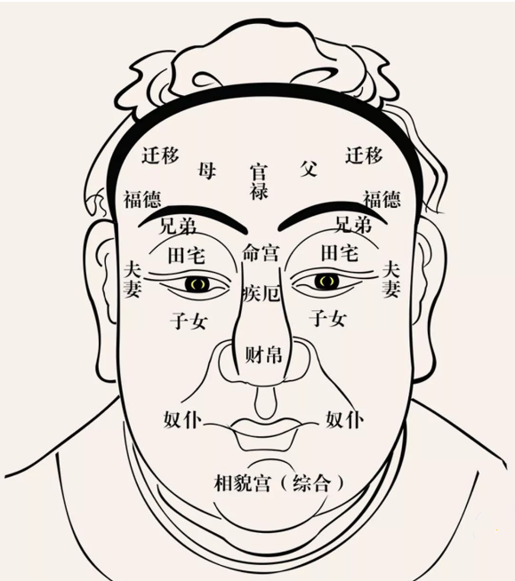 男人耳垂厚有什么说法(耳垂厚大的面相)