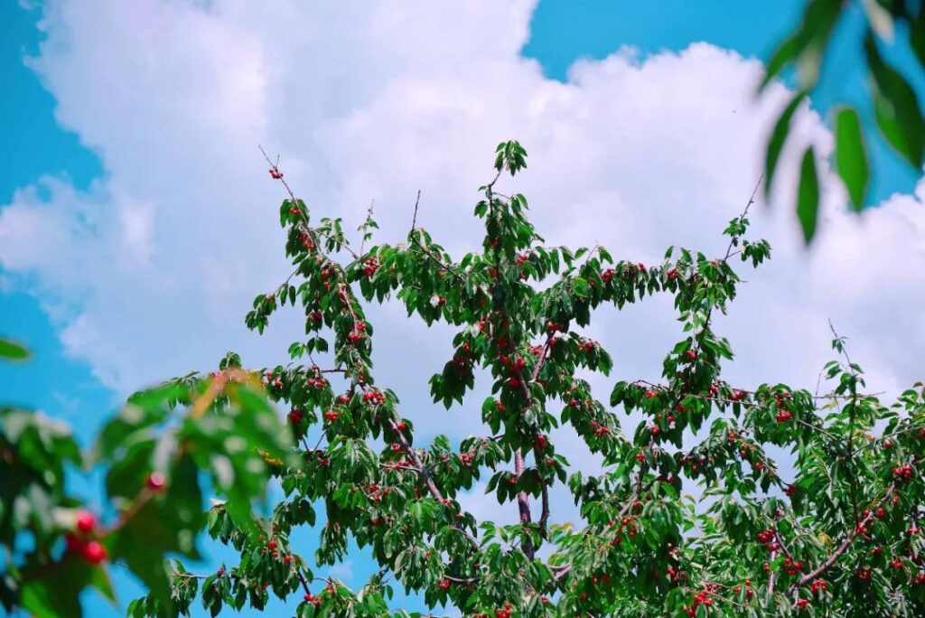 假期首日带你躺游热门景区