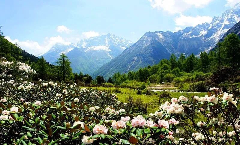 假期首日带你躺游热门景区