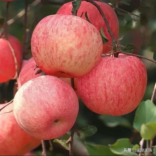 花牛苹果和蛇果有什么区别吗(蛇果是花牛苹果吗)