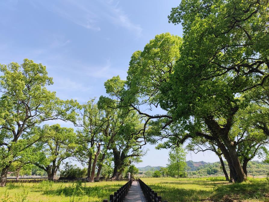 【“六个江西”新余民生画卷】分宜：书香翰墨 进士之村