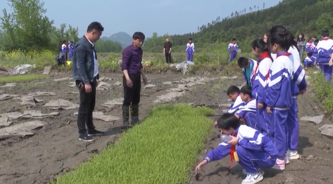 课堂搬到田间 体验“粒粒皆辛苦”