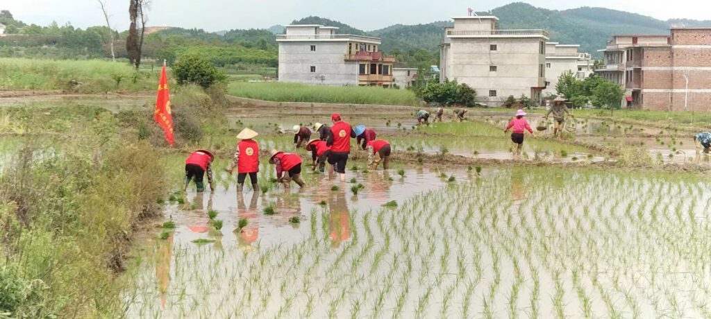 【“六个江西”新余民生画卷】分宜：春耕图里绘新彩