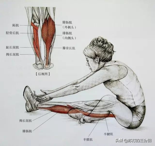 夏天抽筋是什么原因引起的_夏季抽筋的原因以及缓解方法