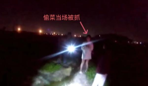 4女子为寻刺激半夜开豪车偷菜