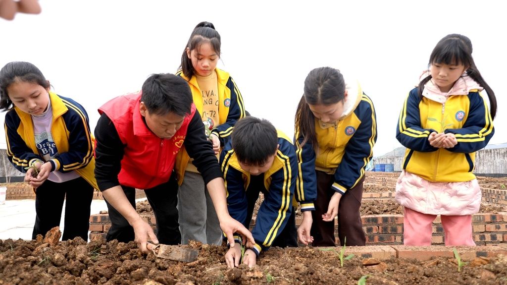 【“六个江西”新余民生画卷】分宜：别样课堂助力“双减”